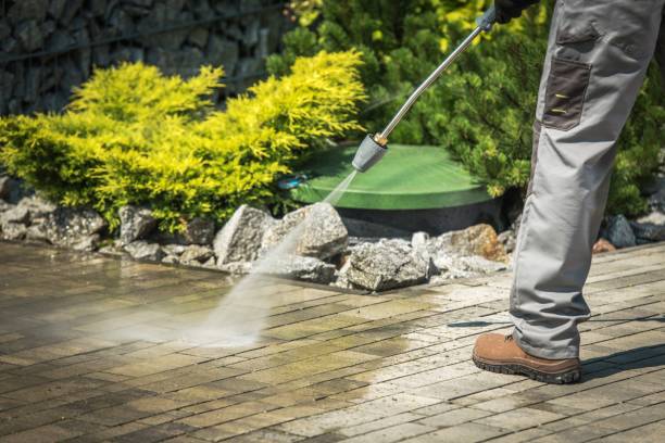 Best Warehouse Cleaning  in Wolf Creek, UT