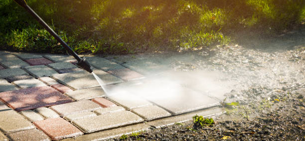 Best Gutter Cleaning  in Wolf Creek, UT