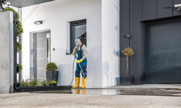 Best Oil Spill Cleanup  in Wolf Creek, UT